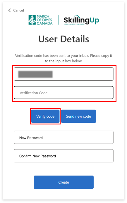 Use Details display screen, with email box and verification code box, and blue "Verify code" button highlighted