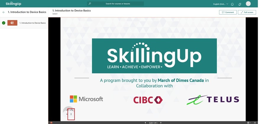 You can access more options for the slides by clicking the three dots on the bottom left of the slide.